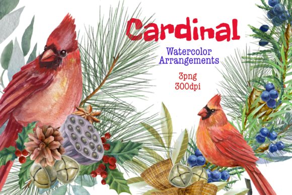 Christmas Watercolor Clipart, cardinal Illustrations