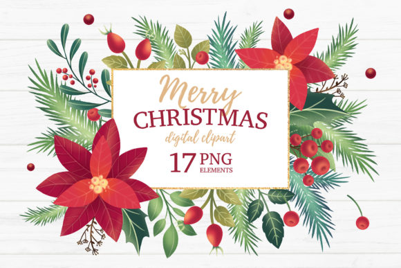 Christmas Winter Floral Clipart: Premium Illustrations