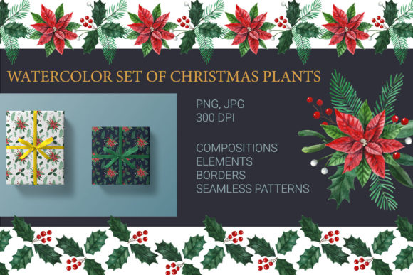 Watercolor Set of Christmas Plants: Illustrations Review